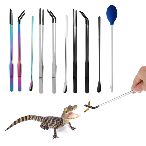 Long Spoon Clamp Reptiles Feeding Tool-Feeding spoon origin 2