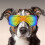 Hundebrille, augenschützende Sonnenbrille, winddicht,-Rot L 6