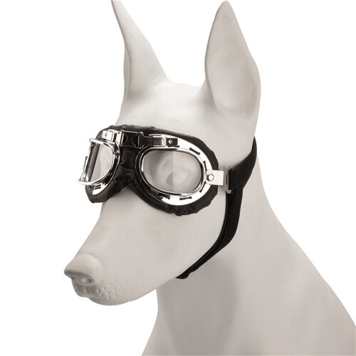 Pet Eye Protecting Goggles Sun Resistant-Silver Transparent