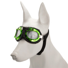 Puppies Eye Protecting Sunglasses Fashion-Green Transparent