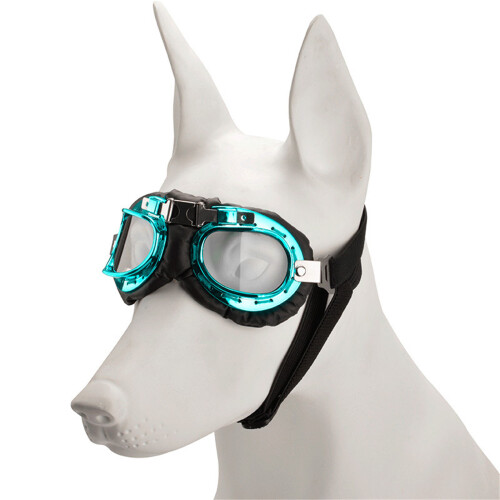 Small Media Dog Goggles Flexible Strap Dog-Blue Transparent