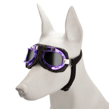 Wind Protecting Dog Sunglasses Small Dog Sun-Purple gray