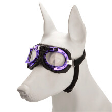 Dog Goggles Eye Protecting Sunglasses-Purple Transparent