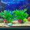 Aquariums Landscape Artificial Plant Fish Tanks-Type B 6