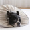 Light weight Cats Cone Collar Wound Healing Cats-Green M 7