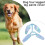 Wasserabweisende Hundebeinschützer,-Blau S 3