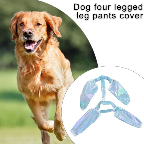 Wasserabweisende Hundebeinschützer,-Blau S 2