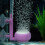 Durable Air Bubble Disk for Home and Office Fish-Purple round 6