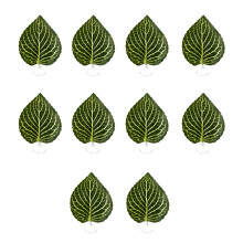 Artificial Leaf Colorful Leaves for Fish Tanks Aquarium-Style 3