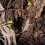Water Resistant Artificial Vine Natural Lookings Vine-Style 2 7