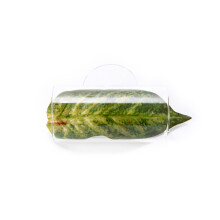 Artificial Colorful Water Plant Small Aquarium Decors-Style 2
