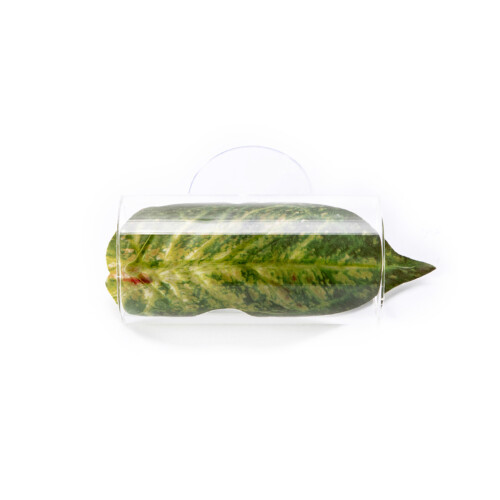Decorative Water Plant Colorful Artificial Leaf-Style 2