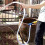 Engineering Plastics Hand Drill Pump, Self-Priming For Reliable Liquid Transfer, Stable Performance In Any Environment 4