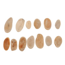 2Sets Beige Vasefüllung Natürliche Holzaccessoires