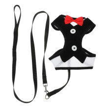 1Jgo Kit Arnés Y Correa Para Perro Pequeño Accesorio Outdoor