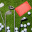 2Pz Portascore Rosso Per Golf Resistente E Compatto, Per 5
