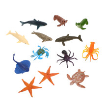 36Pz Animali Marini Simulati in Giocattoli Educativi Colorati