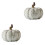 2Pz Zucche Decorazione Beige in Per Giardino E Casa 5