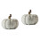 2Pz Zucche Decorazione Beige in Per Giardino E Casa 6