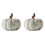 2Pz Zucche Decorazione Beige in Per Giardino E Casa 4