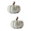 2Pz Zucche Decorazione Beige in Per Giardino E Casa 9