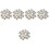 5Pcs White Amethyst Clusters for Home, Office Crystal Decor 4