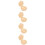 4Sets Delicate Melktand Bewaarbox Beige Baby En 10