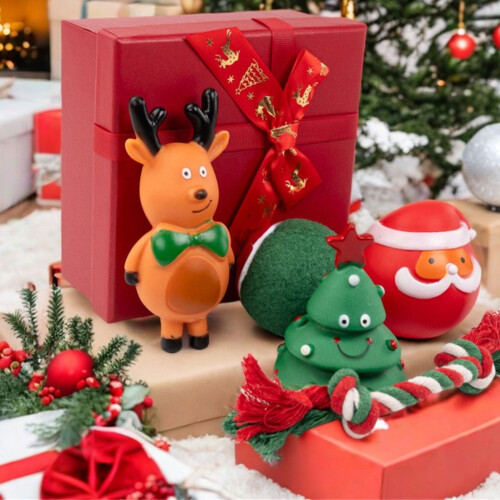 Coffret cadeau de jouet de divertissement pour chien,-Non. 4 2