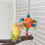 5pack Parrots Chew Toy Interactively Bird Playing-single ball 5