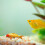 8Stk Aquarium Figuren Aus PVC 5