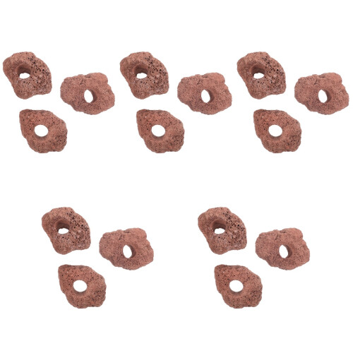 15Pz Anelli Piante Acquatiche Marroni Con Vulcaniche 2