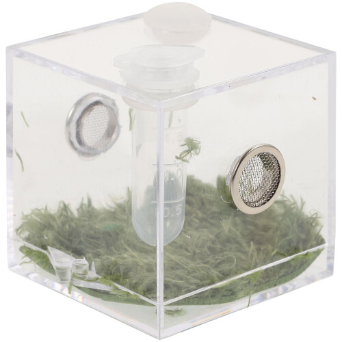 1Conjunto De Para Insetos E Aranhas Com Acrílico