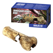 Small Turtles Hidings Cave Stone Cave Shelter Naturalistic-A