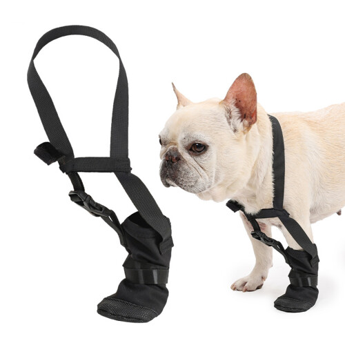 Chaussures de protection pour pattes avant de chien,-L 1
