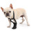 Chaussure imperméable pour chien, pour la récupération-S 5