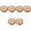 6St Multi Vogel- En Knaagdier Platform Hamster En 3
