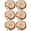 6St Multi Vogel- En Knaagdier Platform Hamster En 8