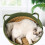 Lit panier en paille pour chats, pour intérieur, avec-Vert M 5