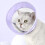 Collier de chat réglable en toute sécurité, récupération-Rose L 7