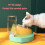 Bol d'alimentation automatique en eau pour chat, bol à-Vert 4