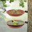 Hummingbird Feeding Trays Hummingbird Drinker Foldable 90 Bird 2