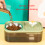 2-in-1 Pet Automatic Feeder Cat Drinking Bowl Cat Bowl-White 4
