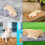 Foldable Pet Cushions Super Soft Square Plush Cat Bed-brown XL 3
