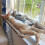 Suction Cup Cat Hammock Window Cat Hanging Bed Window Cat-Black 4
