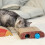 Cat Scratching Board Cat Scratch Toy Circle-arch bridge 5