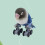 Parrot Bird Toy Mini Desktop Roller Skates Parakeet Intelligence 7