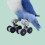 Parrot Bird Toy Mini Desktop Roller Skates Parakeet Intelligence 6