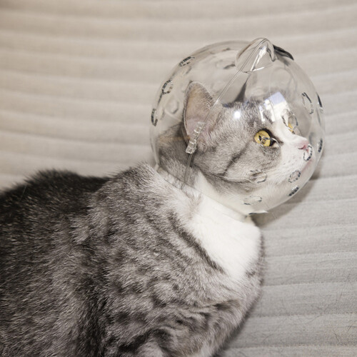 Cat Muzzle Astronaut Helmet Breathable Anti-Bite Muzzles for 2