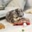 Cat Scratching Board Cat Scratch Toy Circle-arch bridge 2