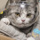 Cat Muzzle Astronaut Helmet Breathable Anti-Bite Muzzles for 5